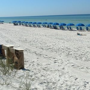 Meet your Posher, Carlos